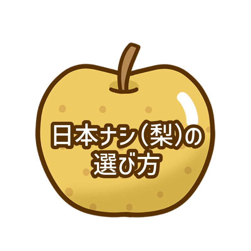日本ナシ(梨)の選び方